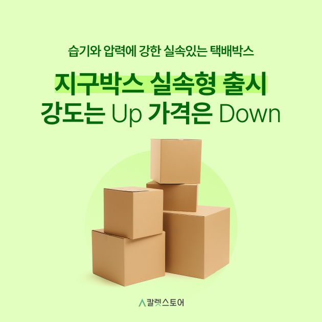 지구박스 실속형 출시