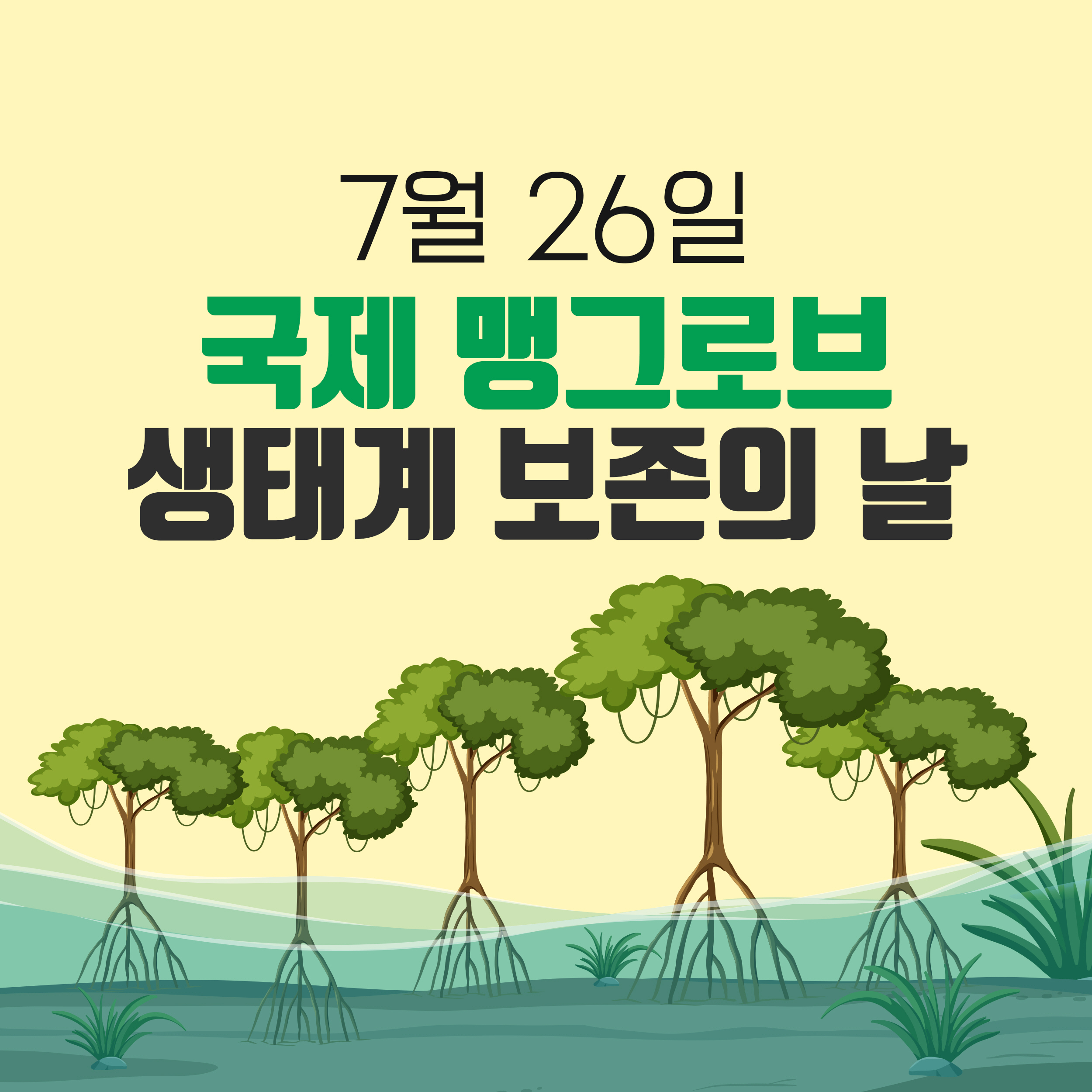 7월 26일 국제 맹그로브 생태계 보존의 날