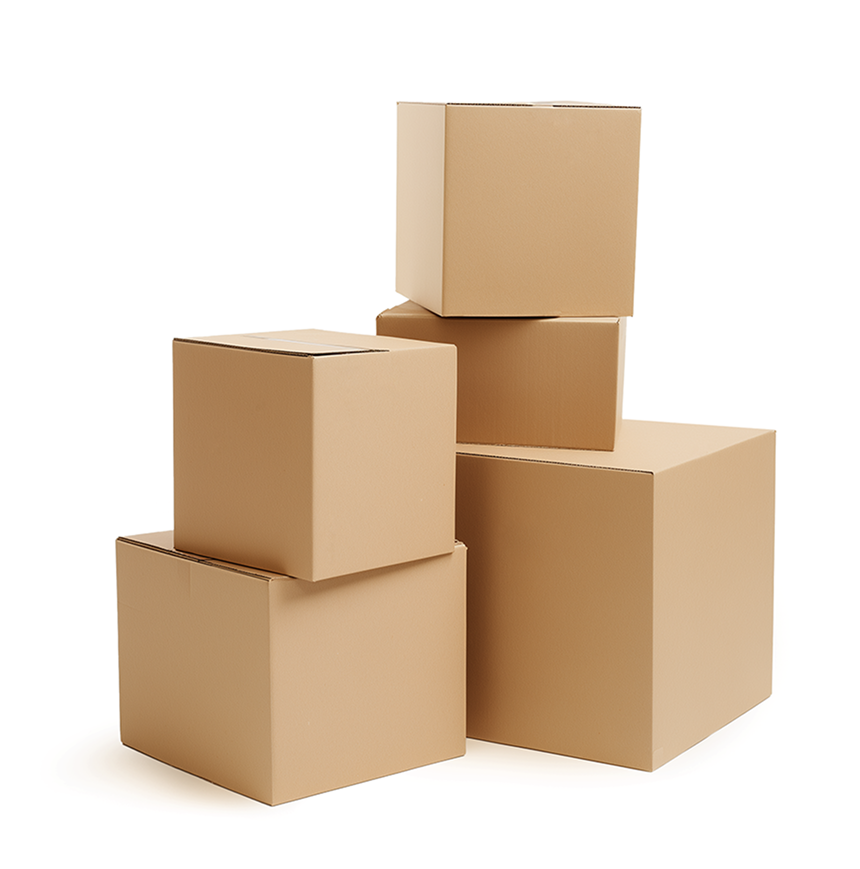 지구박스 실속형, 진짜 튼튼할까?