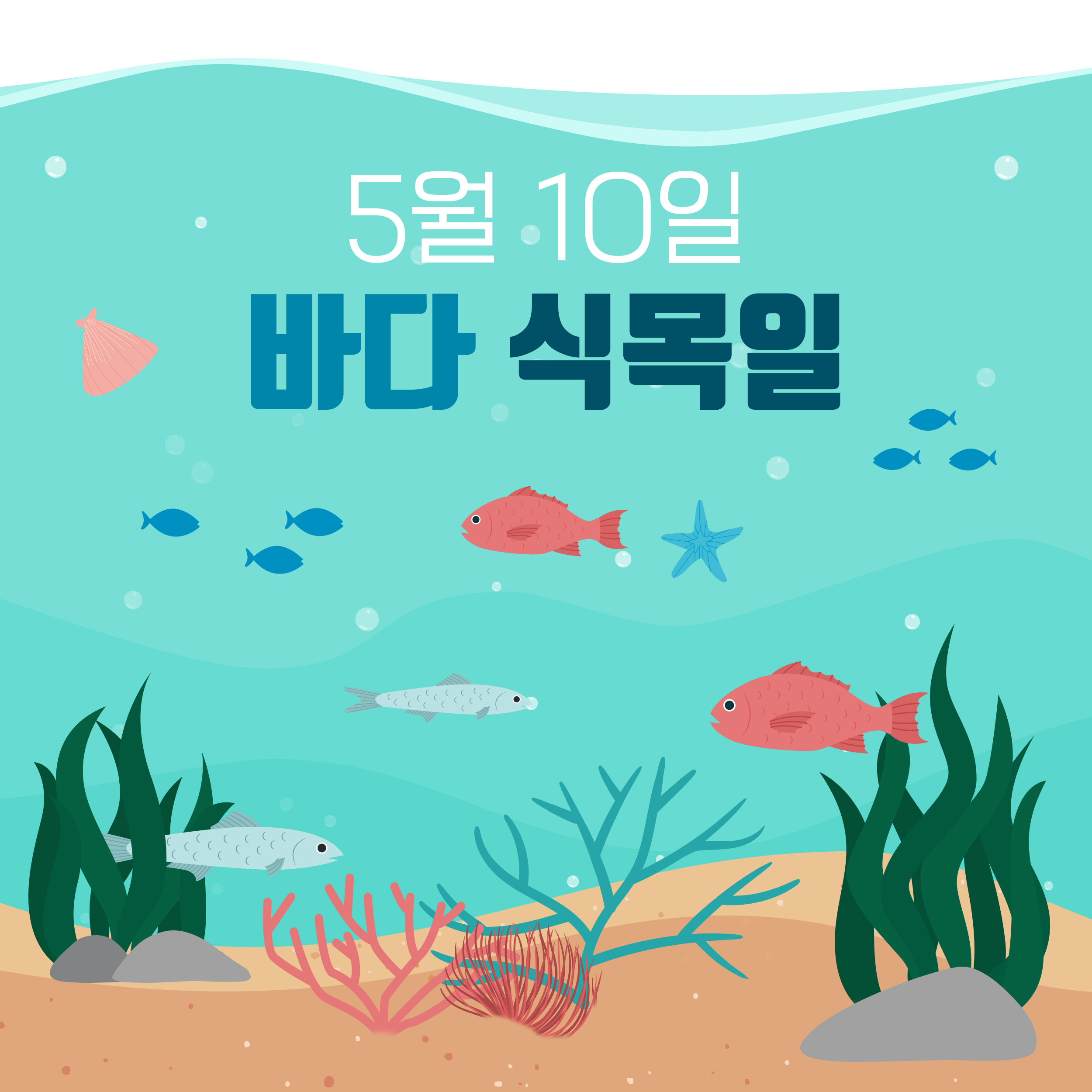 5월 10일 바다식목일