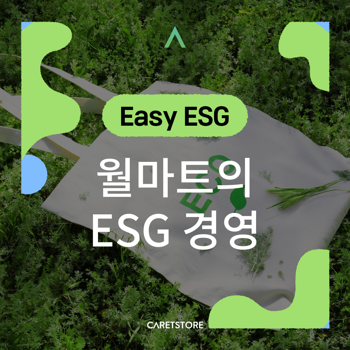 [EASY ESG] 월마트의 ESG 경영