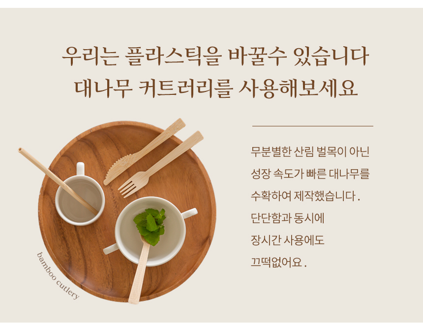 친환경 일회용품 대나무 숟가락 배달용 벌크 100개