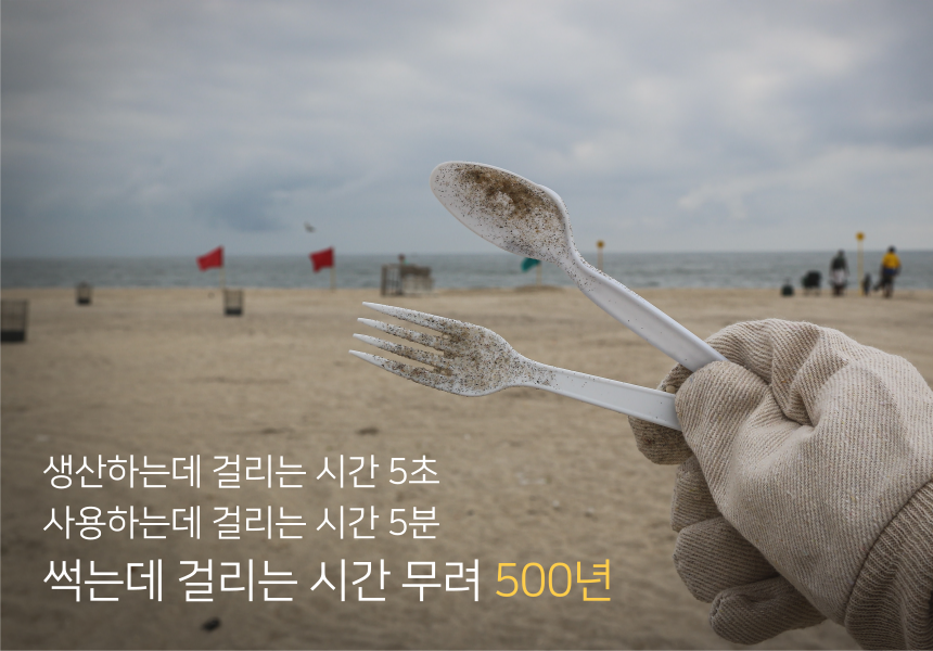 친환경 일회용품 대나무 포크 배달용 벌크 100개