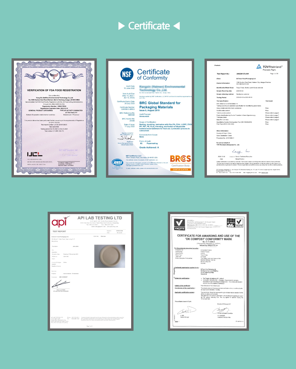 대나무 펄프 샐러드 도시락 용기 57호 700ml 500개