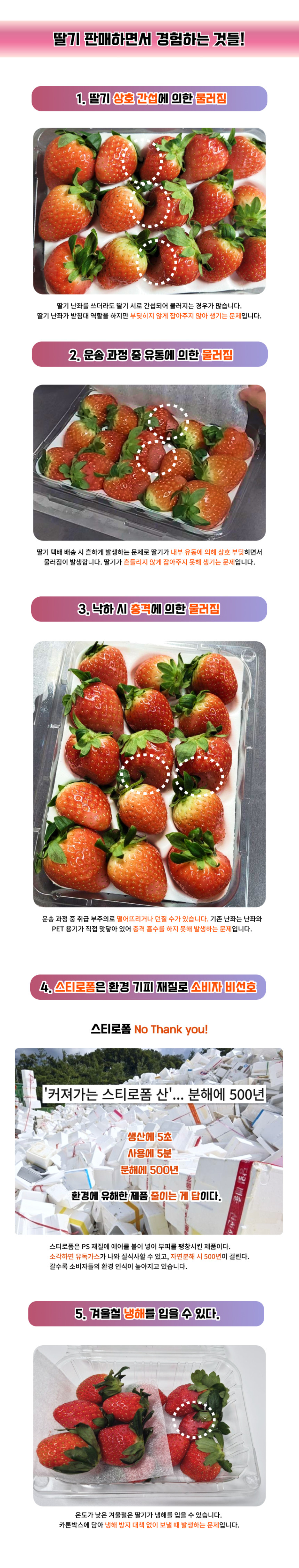 칼렛에어 공기 완충재 딸기 2호 1BOX 200장