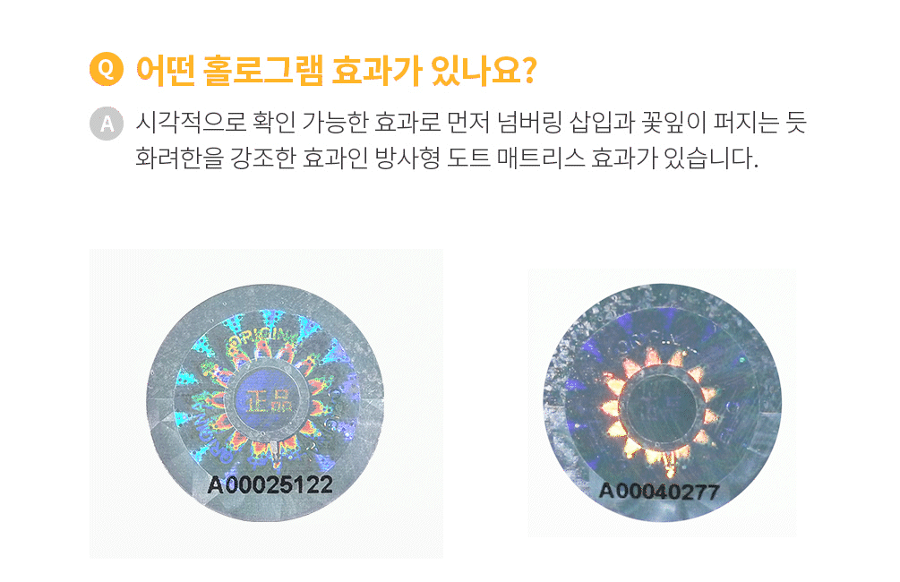 파괴지 홀로그램