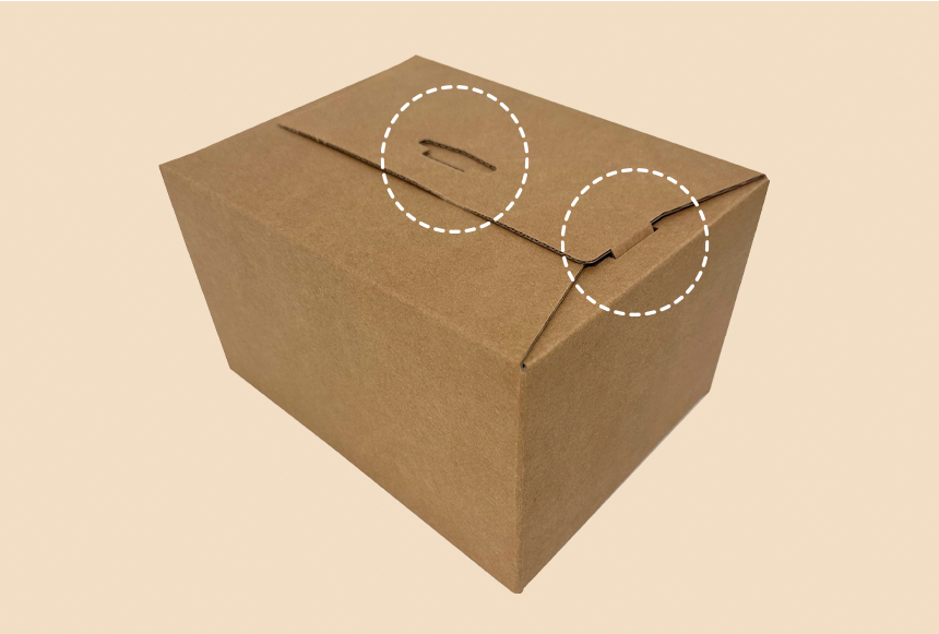 [CARET-96] 1BOX 96개 250x165x90